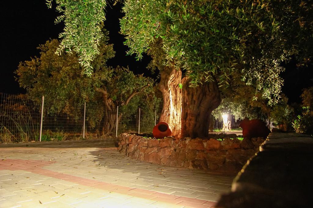 Studios Elianthos Skála Kallirákhis Exterior foto