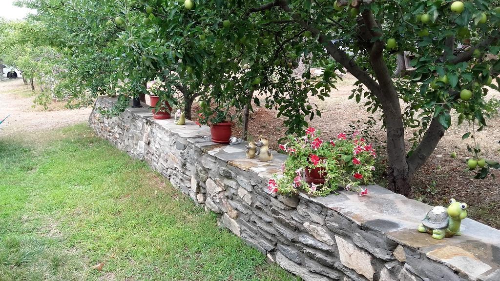 Studios Elianthos Skála Kallirákhis Exterior foto